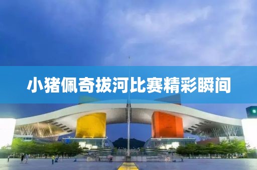 小猪佩奇拔河比赛精彩瞬间
