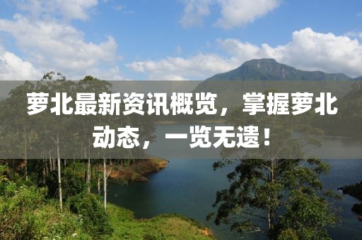 萝北最新资讯概览，掌握萝北动态，一览无遗！