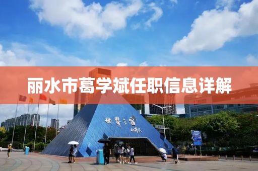 丽水市葛学斌任职信息详解