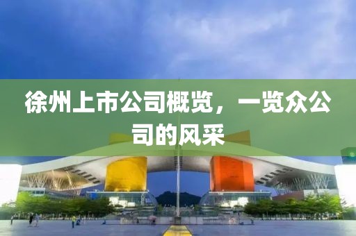 徐州上市公司概览，一览众公司的风采