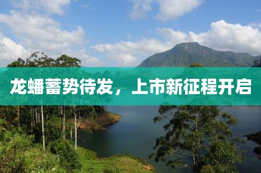 龙蟠蓄势待发，上市新征程开启