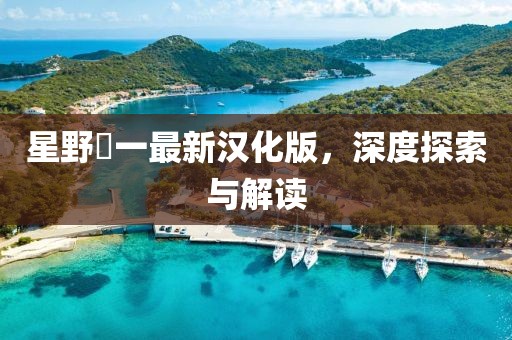 星野竜一最新汉化版，深度探索与解读