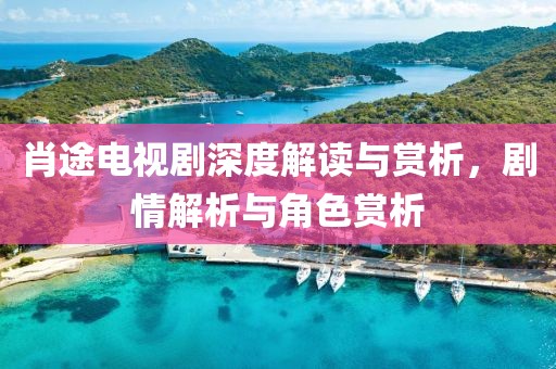 肖途电视剧深度解读与赏析，剧情解析与角色赏析