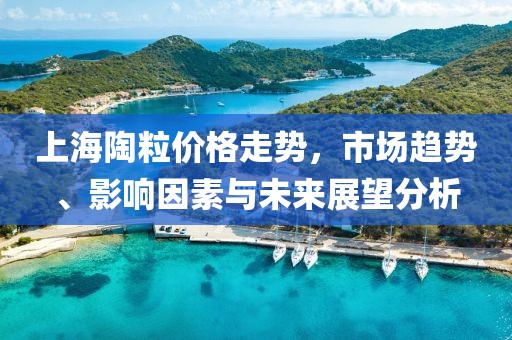 上海陶粒价格走势，市场趋势、影响因素与未来展望分析