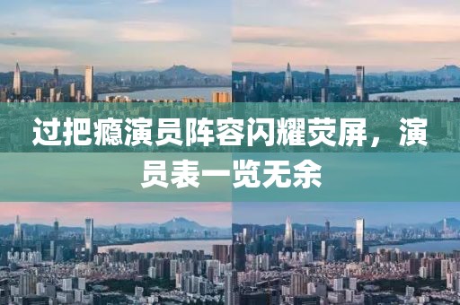 过把瘾演员阵容闪耀荧屏，演员表一览无余