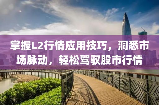 掌握L2行情应用技巧，洞悉市场脉动，轻松驾驭股市行情