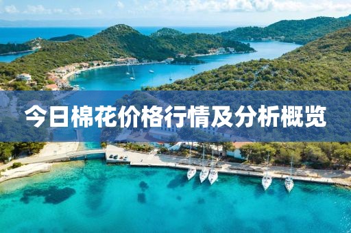 今日棉花价格行情及分析概览