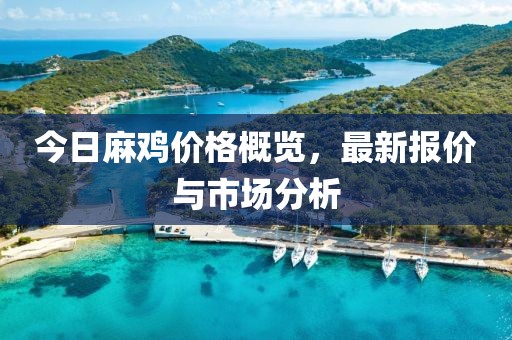 今日麻鸡价格概览，最新报价与市场分析
