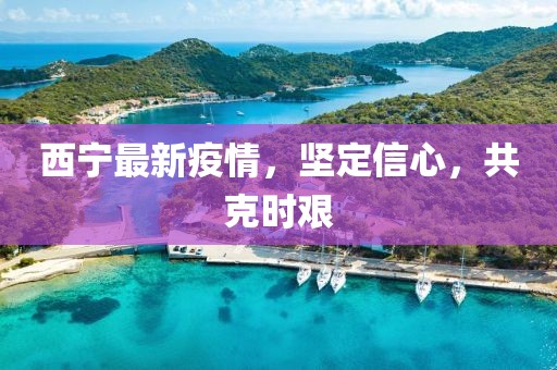 西宁最新疫情，坚定信心，共克时艰