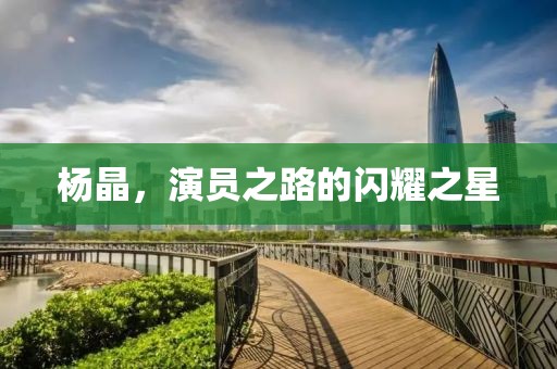 杨晶，演员之路的闪耀之星