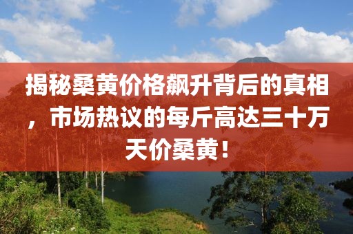 揭秘桑黄价格飙升背后的真相，市场热议的每斤高达三十万天价桑黄！