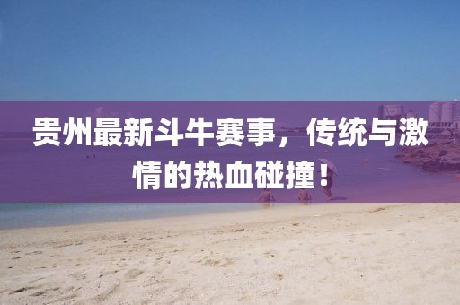 贵州最新斗牛赛事，传统与激情的热血碰撞！