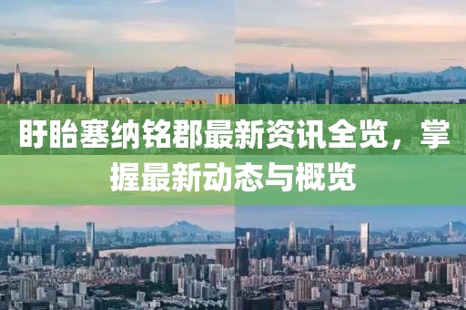 盱眙塞纳铭郡最新资讯全览，掌握最新动态与概览