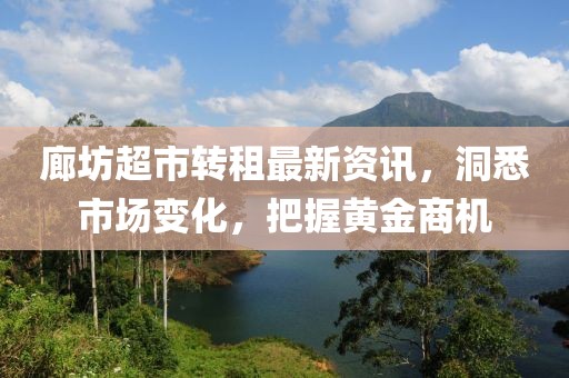 廊坊超市转租最新资讯，洞悉市场变化，把握黄金商机
