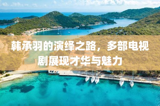韩承羽的演绎之路，多部电视剧展现才华与魅力
