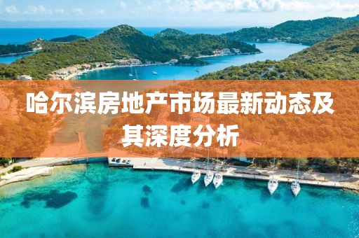 哈尔滨房地产市场最新动态及其深度分析