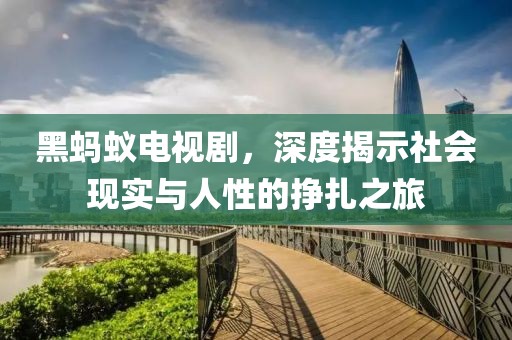 黑蚂蚁电视剧，深度揭示社会现实与人性的挣扎之旅