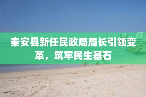 秦安县新任民政局局长引领变革，筑牢民生基石