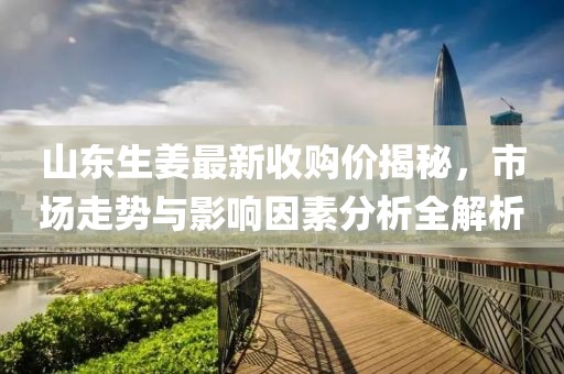 山东生姜最新收购价揭秘，市场走势与影响因素分析全解析