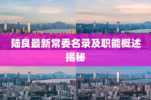 陆良最新常委名录及职能概述揭秘