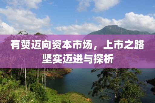 有赞迈向资本市场，上市之路坚实迈进与探析