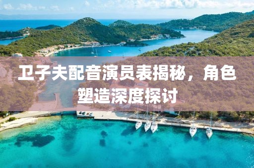 卫子夫配音演员表揭秘，角色塑造深度探讨