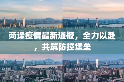 菏泽疫情最新通报，全力以赴，共筑防控堡垒