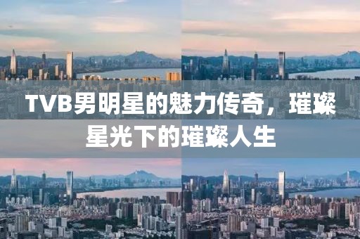 TVB男明星的魅力传奇，璀璨星光下的璀璨人生