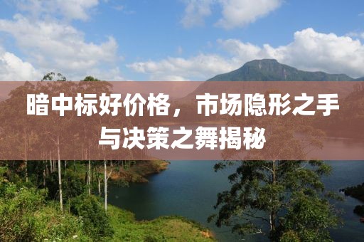 暗中标好价格，市场隐形之手与决策之舞揭秘