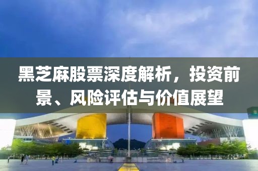 黑芝麻股票深度解析，投资前景、风险评估与价值展望