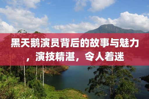 黑天鹅演员背后的故事与魅力，演技精湛，令人着迷