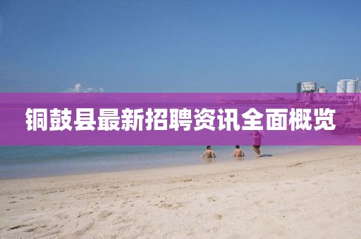 铜鼓县最新招聘资讯全面概览
