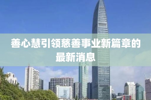 善心慧引领慈善事业新篇章的最新消息