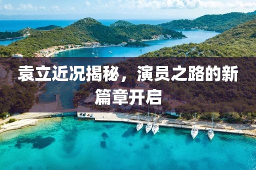 袁立近况揭秘，演员之路的新篇章开启