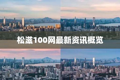 松滋100网最新资讯概览