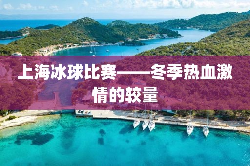 上海冰球比赛——冬季热血激情的较量