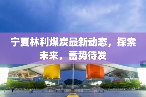 宁夏林利煤炭最新动态，探索未来，蓄势待发
