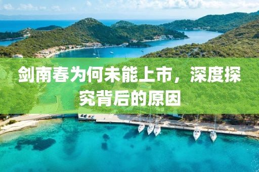 剑南春为何未能上市，深度探究背后的原因