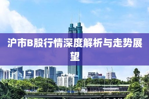 沪市B股行情深度解析与走势展望