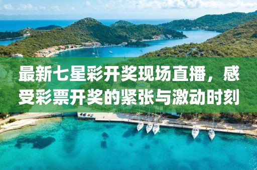 最新七星彩开奖现场直播，感受彩票开奖的紧张与激动时刻