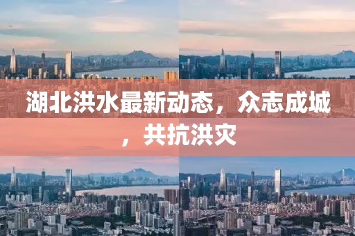 湖北洪水最新动态，众志成城，共抗洪灾