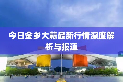 今日金乡大蒜最新行情深度解析与报道