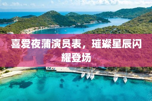 喜爱夜蒲演员表，璀璨星辰闪耀登场