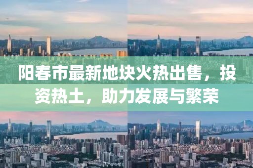 阳春市最新地块火热出售，投资热土，助力发展与繁荣