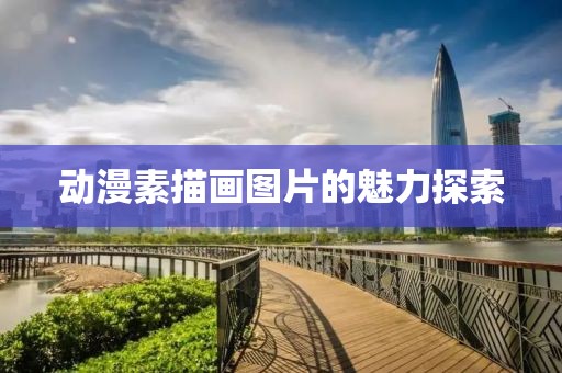 动漫素描画图片的魅力探索