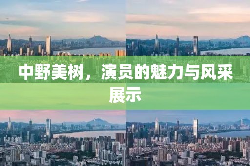 中野美树，演员的魅力与风采展示