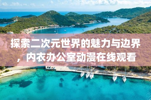 探索二次元世界的魅力与边界，内衣办公室动漫在线观看