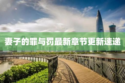 妻子的罪与罚最新章节更新速递