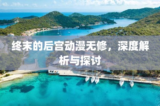 终末的后宫动漫无修，深度解析与探讨