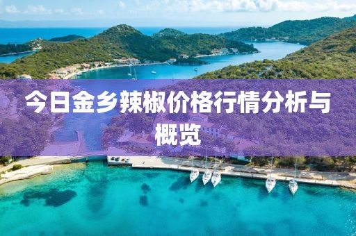 今日金乡辣椒价格行情分析与概览